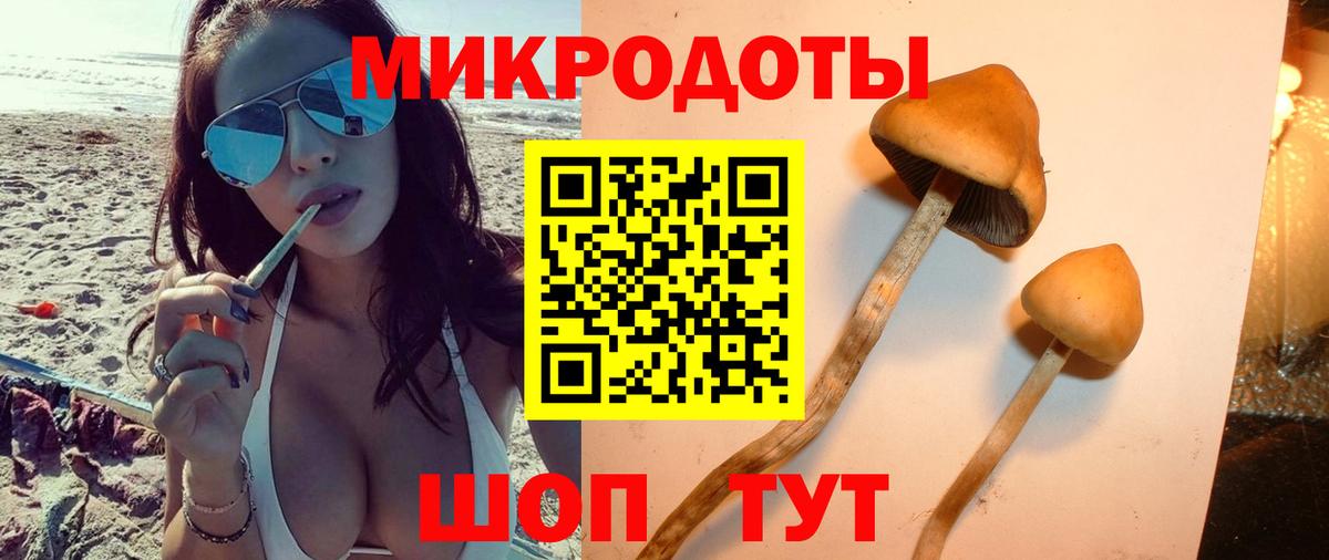 Галлюциногенные грибы Psilocybe Беслан